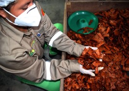 Banco-de-semillas-organicas-agroforestales-Alto-Beni-PIAF-EL-CEIBO-4