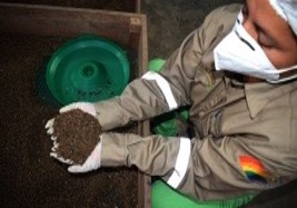 Banco-de-semillas-organicas-agroforestales-Alto-Beni-PIAF-EL-CEIBO-6
